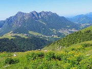 28 Pratoni fioriti di Trollius europaeus (Botton d'oro) con vista in Alben
